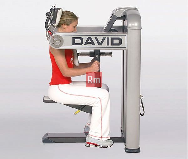 800x800_8623_foto_kartochka_511x601_DAVID_SPINE3